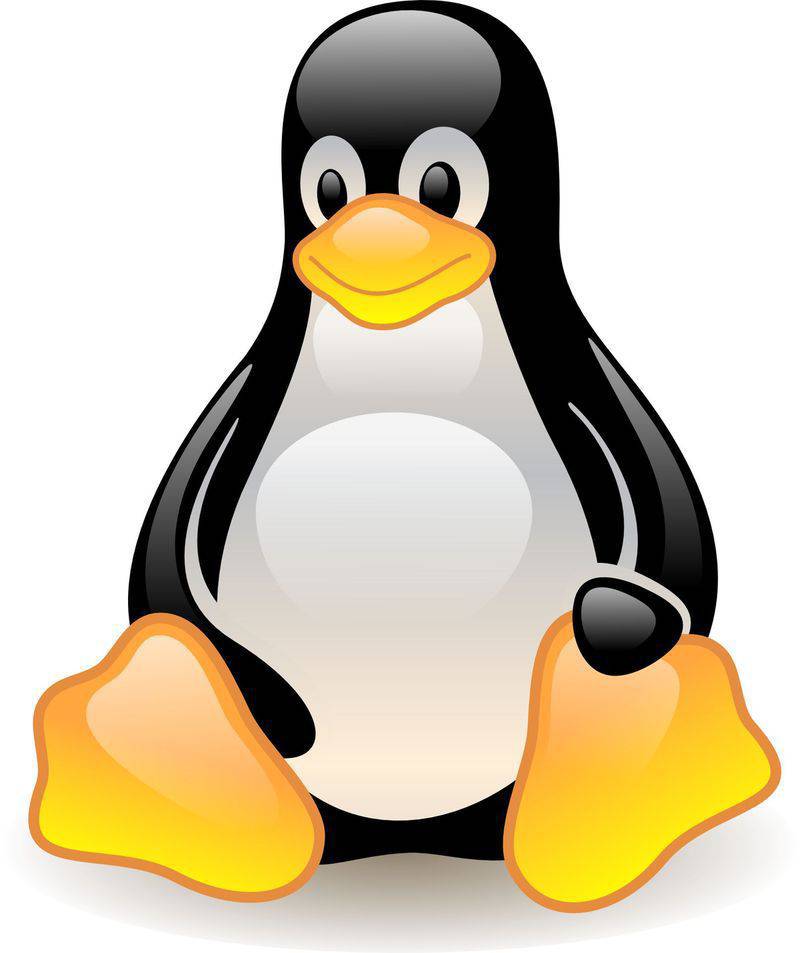 linux penguin